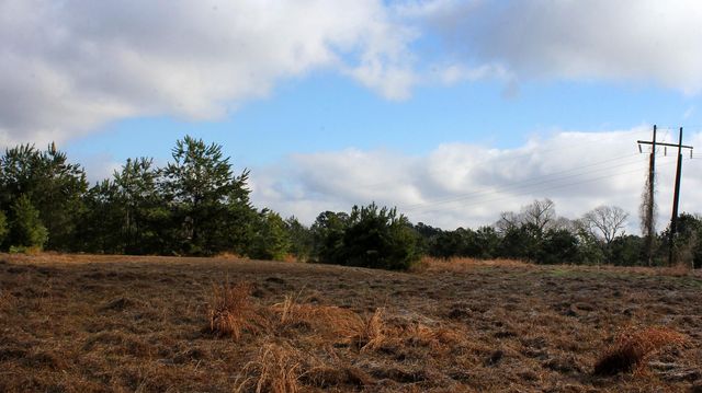 TBD La Petite Court, Trinity, TX 75862