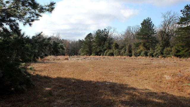 TBD La Petite Court, Trinity, TX 75862