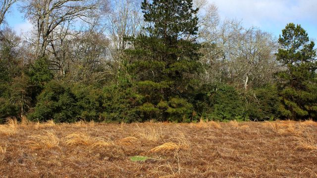 TBD La Petite Court, Trinity, TX 75862