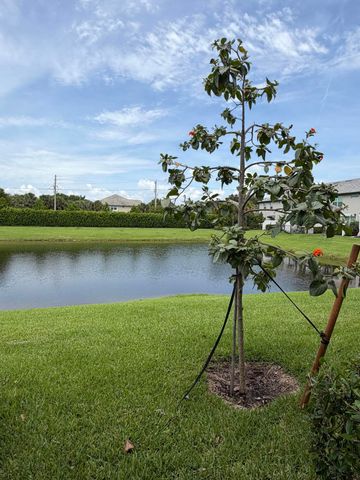 2933 OLIVIA Avenue, Lauderdale Lakes, FL 33311