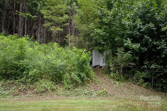 165 Peepeye Cove Road, Leicester, NC 28748
