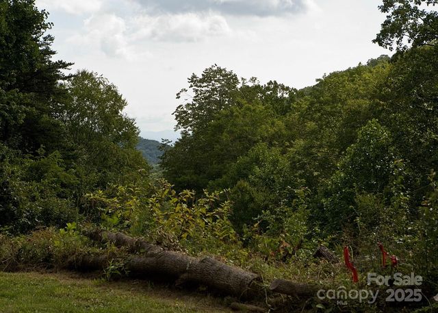 165 Peepeye Cove Road, Leicester, NC 28748