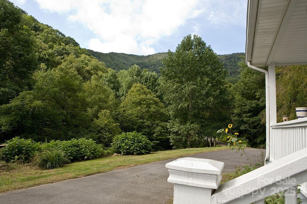 165 Peepeye Cove Road, Leicester, NC 28748