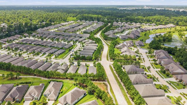 201 Flaxen Chestnut, The Woodlands, TX 77382