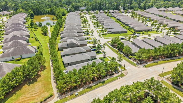 201 Flaxen Chestnut, The Woodlands, TX 77382