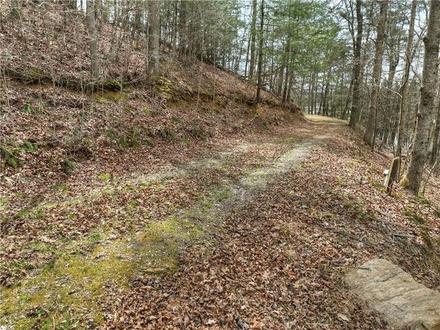 8.52 AC McNelley Road, Morganton, GA 30560