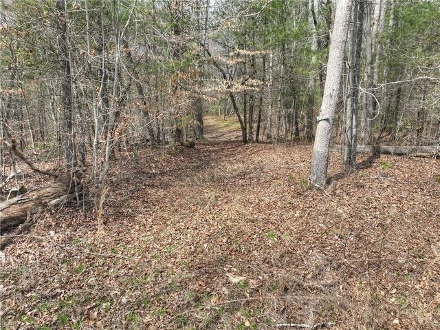 8.52 AC McNelley Road, Morganton, GA 30560