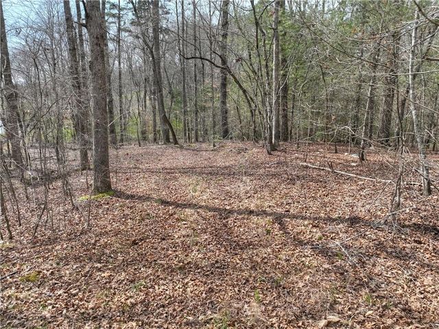 8.52 AC McNelley Road, Morganton, GA 30560