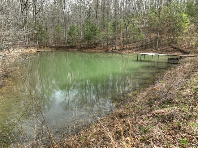 8.52 AC McNelley Road, Morganton, GA 30560