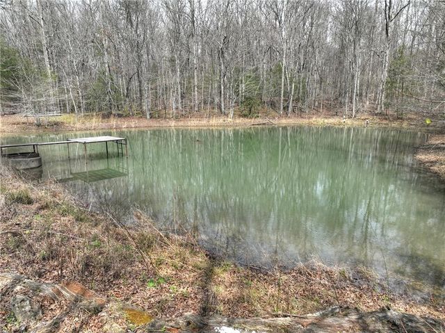 8.52 AC McNelley Road, Morganton, GA 30560