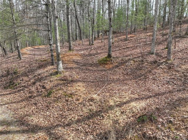8.52 AC McNelley Road, Morganton, GA 30560