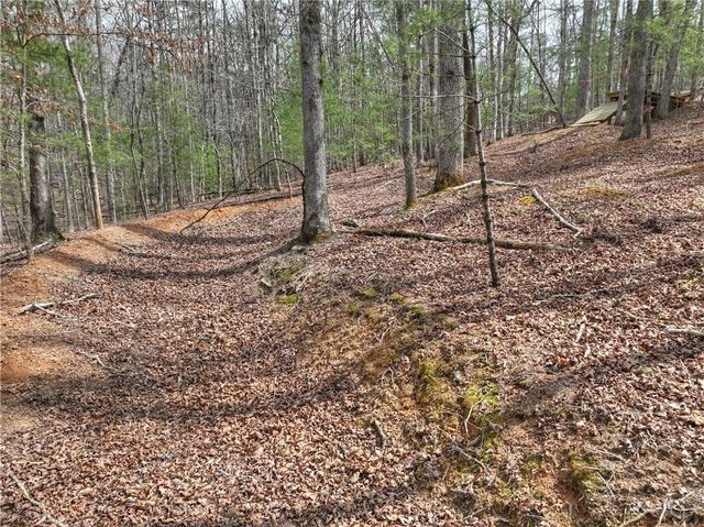 8.52 AC McNelley Road, Morganton, GA 30560