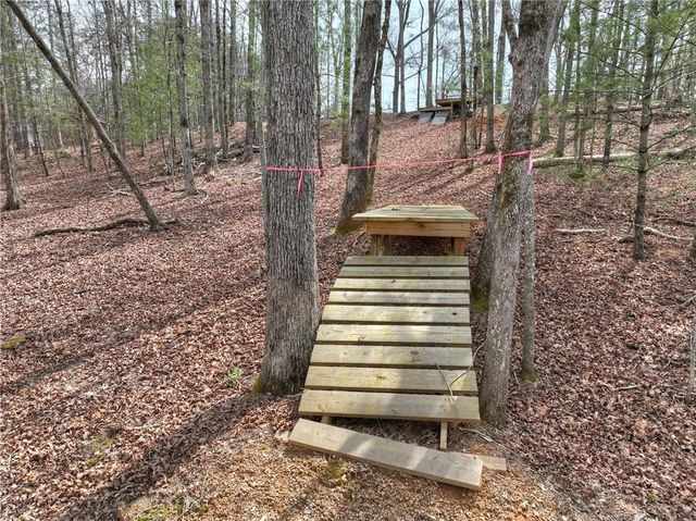 8.52 AC McNelley Road, Morganton, GA 30560