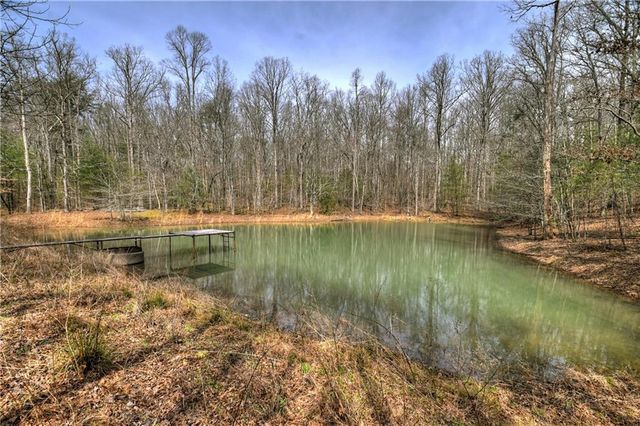 8.52 AC McNelley Road, Morganton, GA 30560