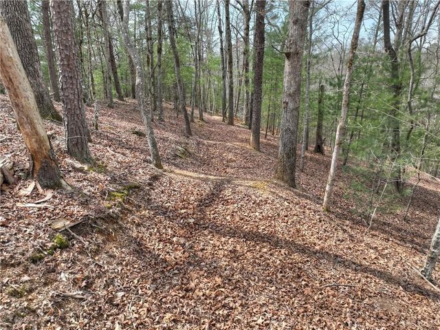 8.52 AC McNelley Road, Morganton, GA 30560