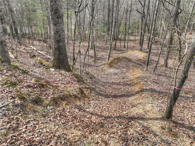 8.52 AC McNelley Road, Morganton, GA 30560
