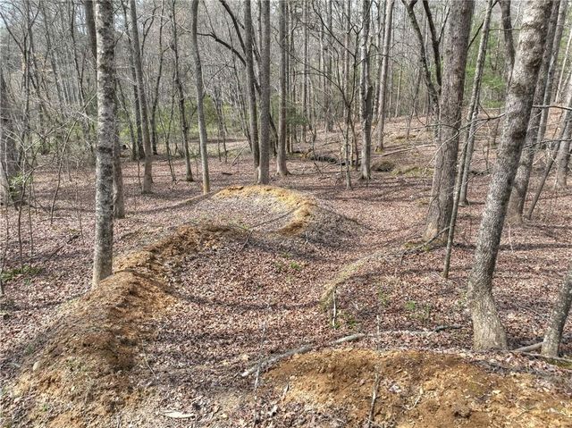 8.52 AC McNelley Road, Morganton, GA 30560