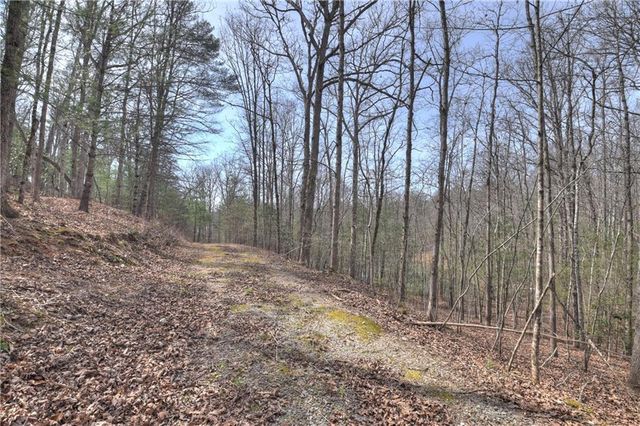 8.52 AC McNelley Road, Morganton, GA 30560
