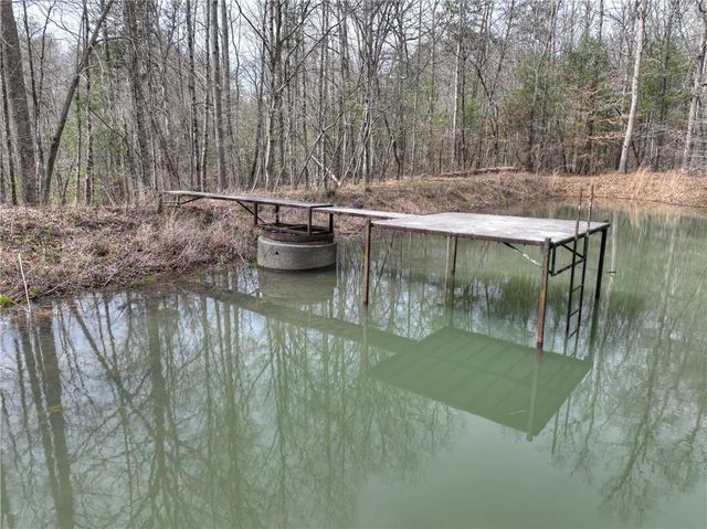 8.52 AC McNelley Road, Morganton, GA 30560