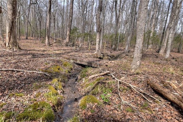 8.52 AC McNelley Road, Morganton, GA 30560