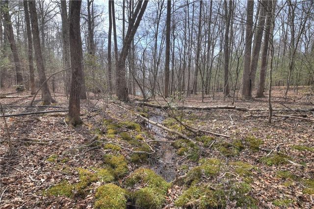 8.52 AC McNelley Road, Morganton, GA 30560