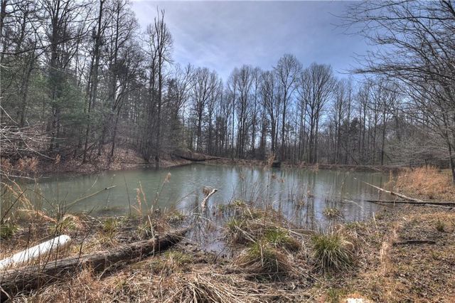 8.52 AC McNelley Road, Morganton, GA 30560