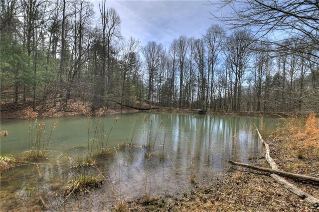 8.52 AC McNelley Road, Morganton, GA 30560