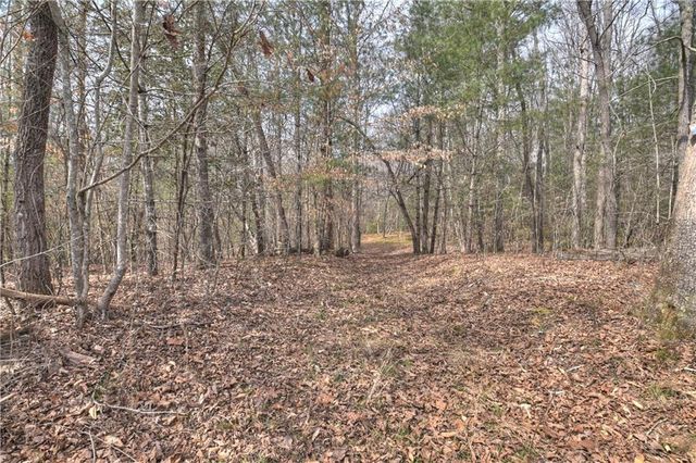 8.52 AC McNelley Road, Morganton, GA 30560