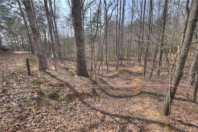 8.52 AC McNelley Road, Morganton, GA 30560