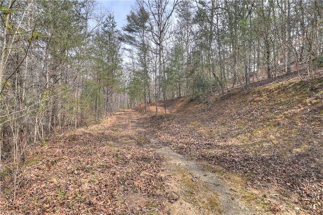 8.52 AC McNelley Road, Morganton, GA 30560