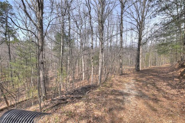 8.52 AC McNelley Road, Morganton, GA 30560