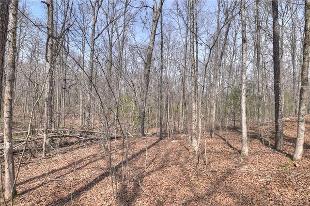 8.52 AC McNelley Road, Morganton, GA 30560