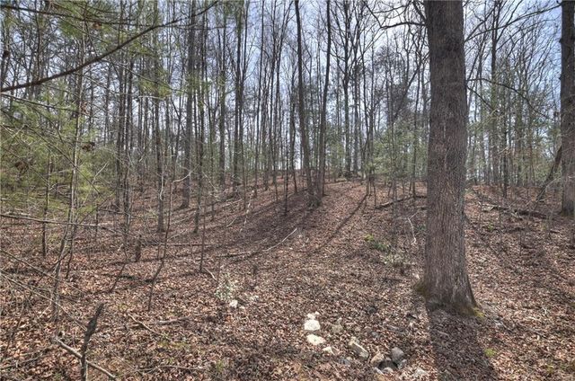 8.52 AC McNelley Road, Morganton, GA 30560