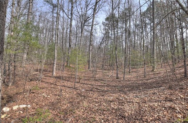 8.52 AC McNelley Road, Morganton, GA 30560