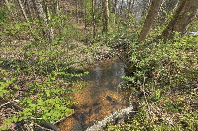 8.52 AC McNelley Road, Morganton, GA 30560