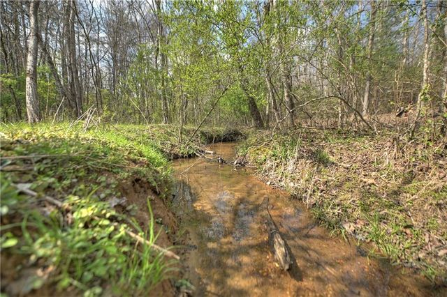 8.52 AC McNelley Road, Morganton, GA 30560