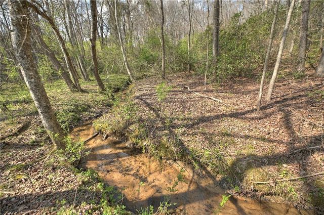 8.52 AC McNelley Road, Morganton, GA 30560