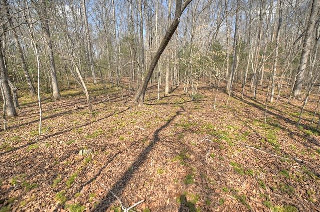 8.52 AC McNelley Road, Morganton, GA 30560