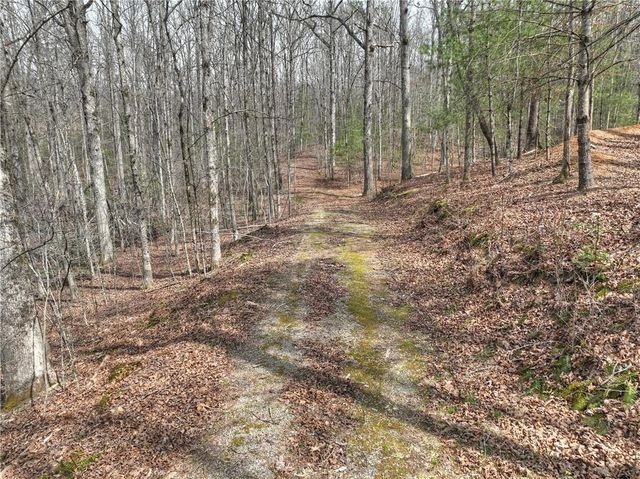 8.52 AC McNelley Road, Morganton, GA 30560
