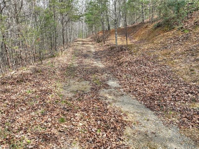 8.52 AC McNelley Road, Morganton, GA 30560