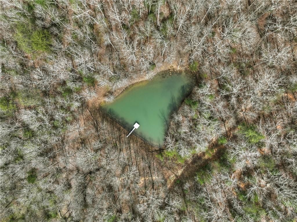 8.52 AC McNelley Road, Morganton, GA 30560