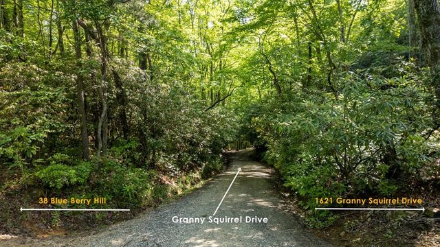 1621 Granny Squirrel Drive, Andrews, NC 28901