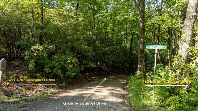 1621 Granny Squirrel Drive, Andrews, NC 28901