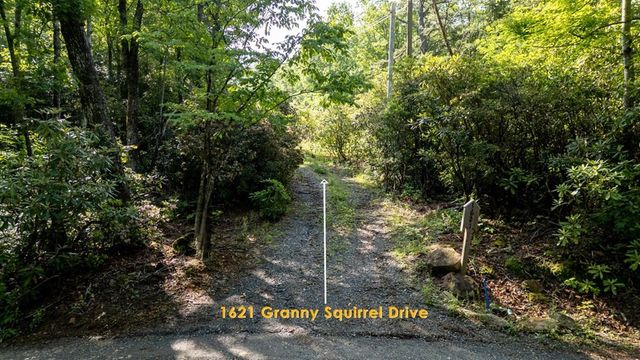 1621 Granny Squirrel Drive, Andrews, NC 28901