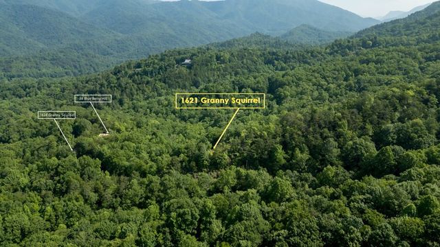 1621 Granny Squirrel Drive, Andrews, NC 28901