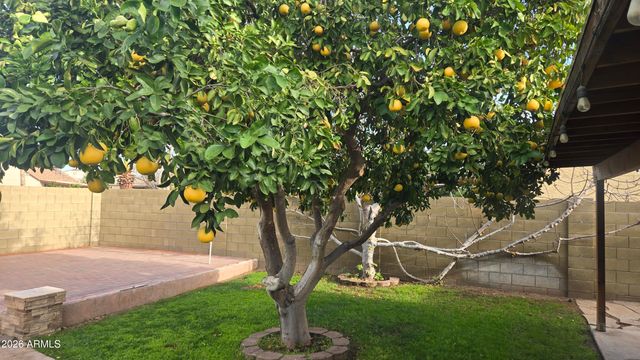 19648 N 9TH Street, Phoenix, AZ 85024