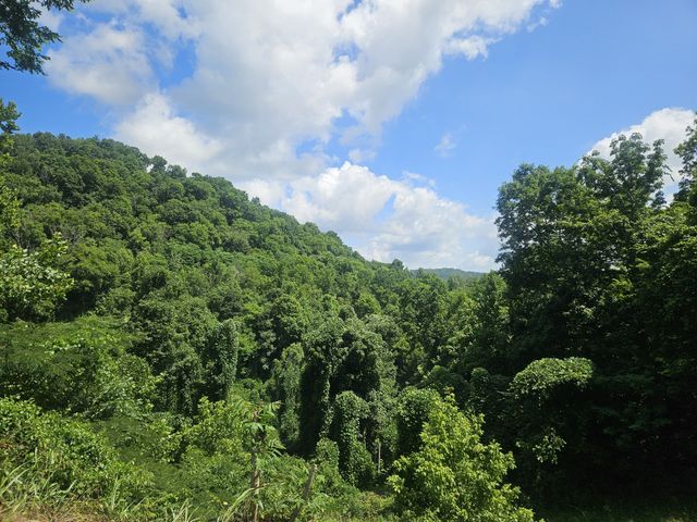 1142 Trace Creek Rd, Whitleyville, TN 38588