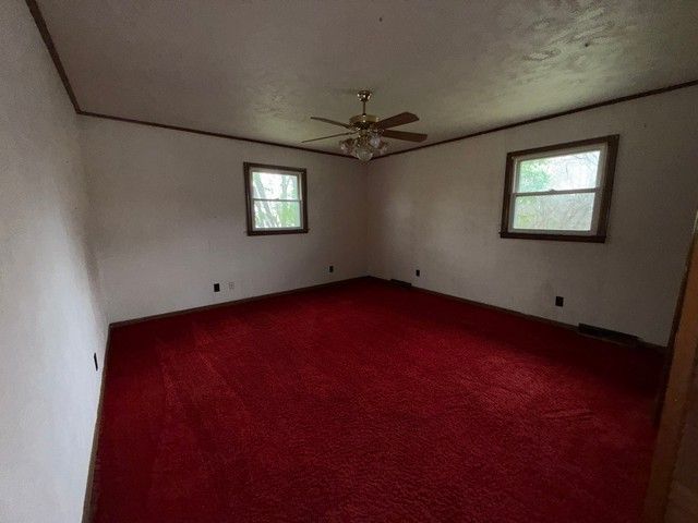 2104 Patricia Dr, Shelbyville, TN 37160