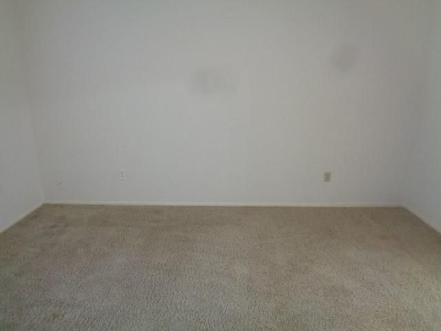19806 Rustlewood Drive, Humble, TX 77338
