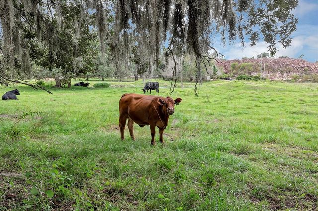 5616 BEGGS ROAD, St Cloud, FL 34771